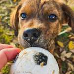 Ersteller:in Silke Profilbild