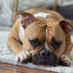 Ersteller:in Leonie Profilbild