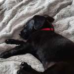 Ersteller:in Leonie Profilbild