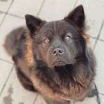 Ersteller:in Lisa Profilbild