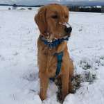 Ersteller:in Sabrina Profilbild