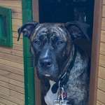 Ersteller:in Elisa Profilbild