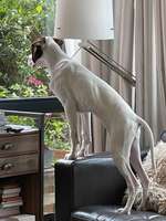 120. Fotochallenge-Beitrag-Bild