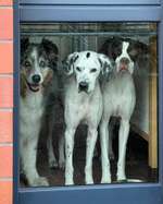 120. Fotochallenge-Beitrag-Bild