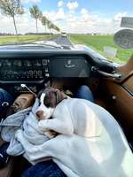 117. Fotochallenge-Beitrag-Bild