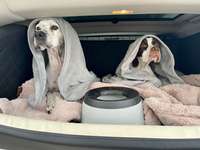 117. Fotochallenge-Beitrag-Bild