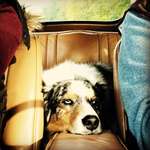 117. Fotochallenge-Beitrag-Bild