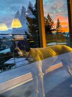 120. Fotochallenge-Beitrag-Bild