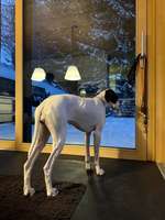 120. Fotochallenge-Beitrag-Bild