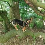 Ersteller:in Susa Profilbild