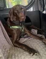 Ersteller:in Corinna Profilbild