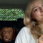 Ersteller:in Vesna Profilbild