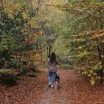 Ersteller:in Michelle Profilbild