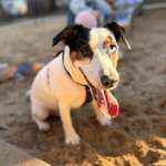 Ersteller:in Jean-Paul Profilbild