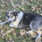 Ersteller:in Sandra Profilbild