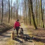 Ersteller:in Janine Profilbild