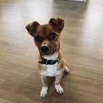 Ersteller:in Ann-Sophie Profilbild