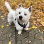 Ersteller:in Imke Profilbild