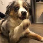 Ersteller:in Angelina Profilbild