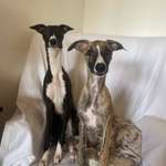 Ersteller:in Julia Profilbild