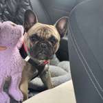 Ersteller:in Giannina Profilbild