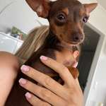 Ersteller:in Florian Profilbild