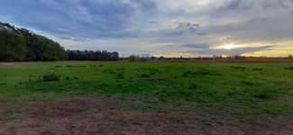 Hundeauslaufgebiet-Rodgau-Bild