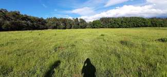Hundeauslaufgebiet-Rodgau-Bild