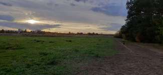 Hundeauslaufgebiet-Rodgau-Bild