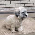 Ersteller:in Tobias Profilbild