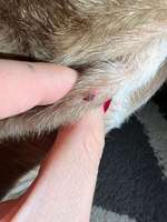 Hautveränderung-Beitrag-Bild