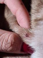 Hautveränderung-Beitrag-Bild