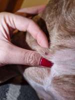 Hautveränderung-Beitrag-Bild