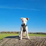 Ersteller:in Franziska Profilbild