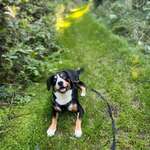 Ersteller:in Lisa Profilbild