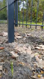 Hundeauslaufgebiet-Lichterfelde Barnackufer-Bild