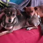 Ersteller:in Sandra Profilbild