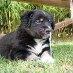 Ersteller:in Kerstin Profilbild