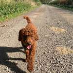 Ersteller:in Sophie Profilbild