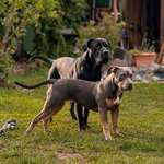 Ersteller:in Domi Profilbild