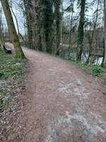 Hundeauslaufgebiet-Werseblick & Naturwege-Bild