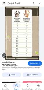 Hundealter in Menschenjahren ??-Beitrag-Bild