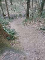 Hundeauslaufgebiet-Werseblick & Naturwege-Bild