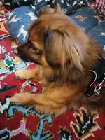 farbveränderung an der Nase-Beitrag-Bild