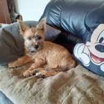 Ersteller:in Uschi Profilbild