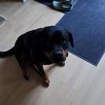 Ersteller:in Andy Profilbild