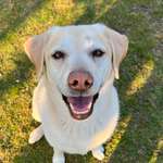 Ersteller:in Micha Profilbild