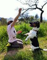 Trick Challenge Nr. 12-Beitrag-Bild