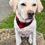 Tipps für Training filmen-Beitrag-Bild