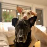 Ersteller:in Janina Profilbild